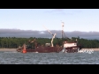 Fishing Boat Tauranga 2 1821